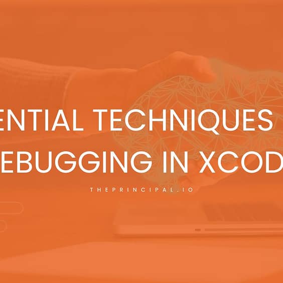 Essential Techniques for debugging in Xcode